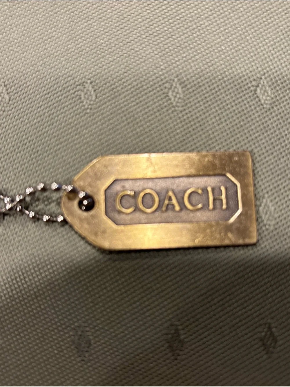 Coach brush gold
